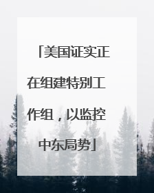 美国证实正在组建特别工作组，以监控中东局势