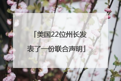 美国22位州长发表了一份联合声明