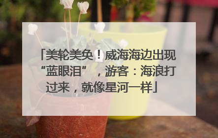 美轮美奂！威海海边出现“蓝眼泪”，游客：海浪打过来，就像星河一样