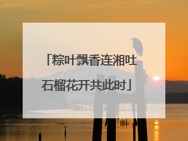 粽叶飘香连湘吐 石榴花开共此时