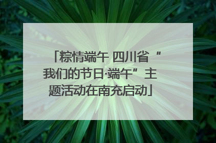 粽情端午 四川省“我们的节日·端午”主题活动在南充启动