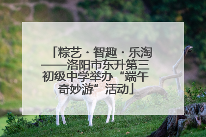 粽艺・智趣・乐淘——洛阳市东升第三初级中学举办“端午奇妙游”活动