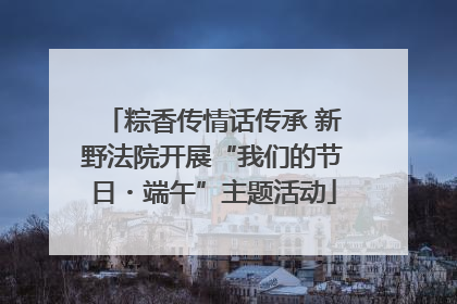 粽香传情话传承 新野法院开展“我们的节日・端午”主题活动