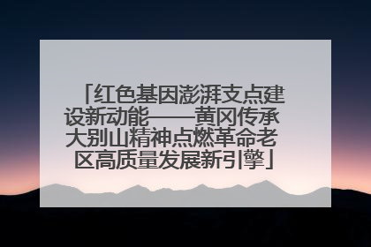 红色基因澎湃支点建设新动能——黄冈传承大别山精神点燃革命老区高质量发展新引擎
