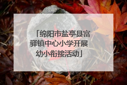 绵阳市盐亭县富驿镇中心小学开展幼小衔接活动