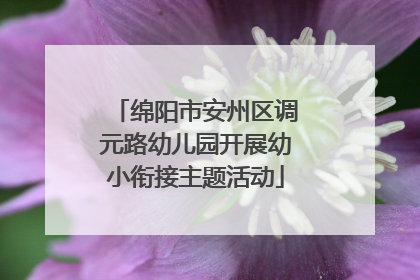 绵阳市安州区调元路幼儿园开展幼小衔接主题活动