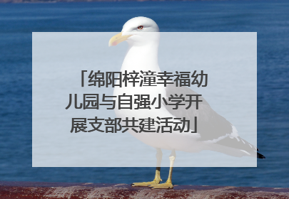 绵阳梓潼幸福幼儿园与自强小学开展支部共建活动