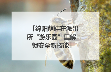 绵阳萌娃在派出所“游乐园”里解锁安全新技能