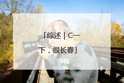 综述｜C一下，很长春
