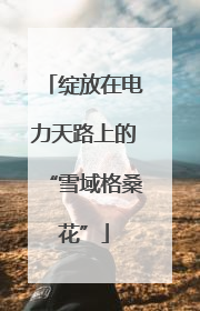 绽放在电力天路上的“雪域格桑花”