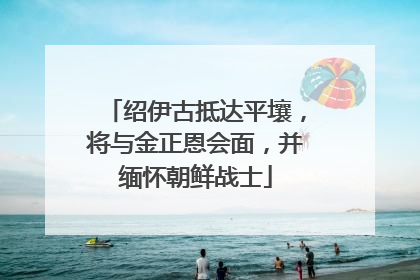 绍伊古抵达平壤，将与金正恩会面，并缅怀朝鲜战士