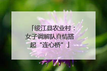 绥江县农业村：女子调解队真情搭起“连心桥”