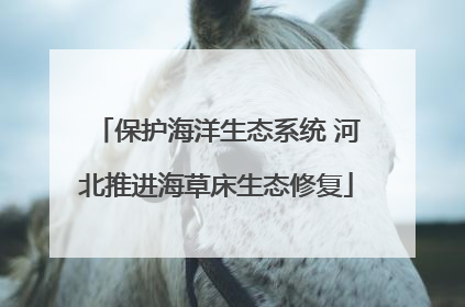 保护海洋生态系统 河北推进海草床生态修复