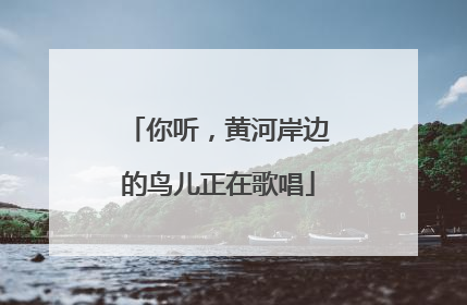 你听，黄河岸边的鸟儿正在歌唱