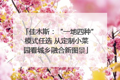 佳木斯：“一地四种” 模式任选 从定制小菜园看城乡融合新图景