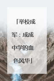 举校成军：成成中学的血色风华