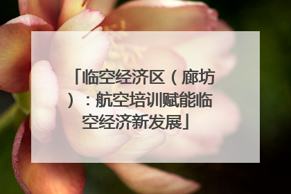 临空经济区（廊坊）：航空培训赋能临空经济新发展