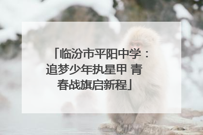 临汾市平阳中学：追梦少年执星甲 青春战旗启新程