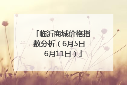 临沂商城价格指数分析（6月5日—6月11日）
