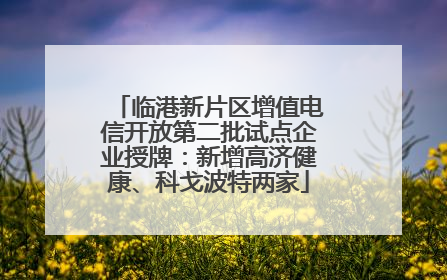 临港新片区增值电信开放第二批试点企业授牌：新增高济健康、科戈波特两家
