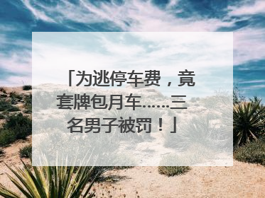 为逃停车费，竟套牌包月车……三名男子被罚！