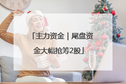 主力资金｜尾盘资金大幅抢筹2股