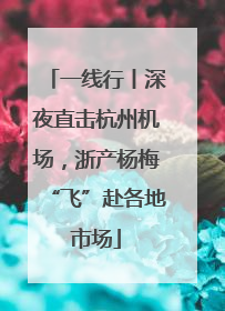 一线行丨深夜直击杭州机场，浙产杨梅“飞”赴各地市场