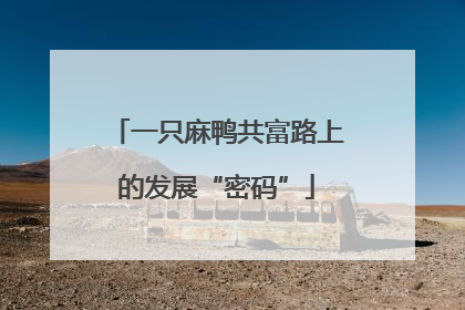 一只麻鸭共富路上的发展“密码”