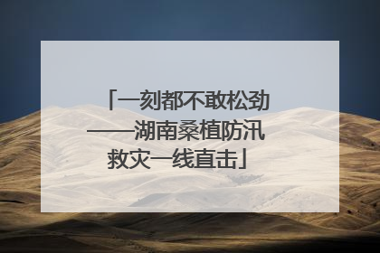 一刻都不敢松劲——湖南桑植防汛救灾一线直击