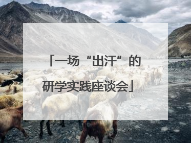 一场“出汗”的研学实践座谈会