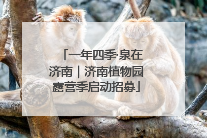 一年四季·泉在济南｜济南植物园露营季启动招募