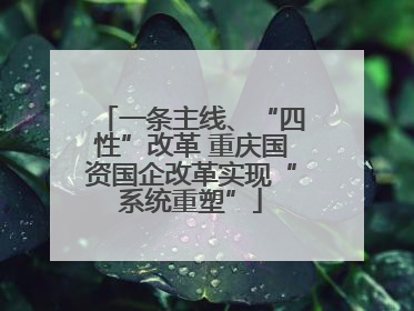 一条主线、“四性”改革 重庆国资国企改革实现“系统重塑”