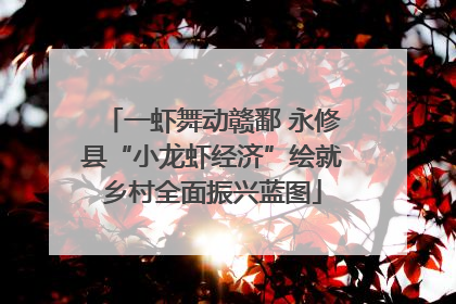 一虾舞动赣鄱 永修县“小龙虾经济”绘就乡村全面振兴蓝图