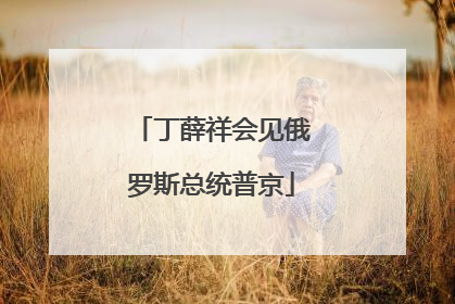 丁薛祥会见俄罗斯总统普京