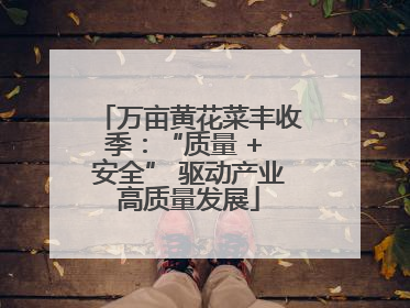万亩黄花菜丰收季：“质量 + 安全” 驱动产业高质量发展