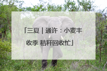三夏｜通许：小麦丰收季 秸秆回收忙