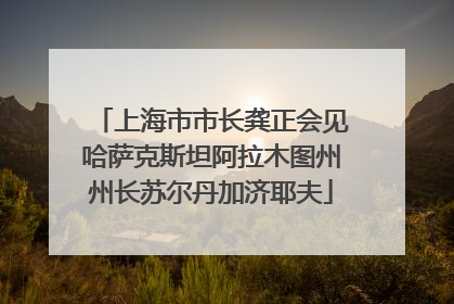 上海市市长龚正会见哈萨克斯坦阿拉木图州州长苏尔丹加济耶夫
