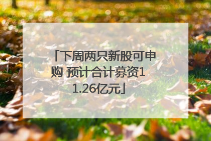 下周两只新股可申购 预计合计募资11.26亿元