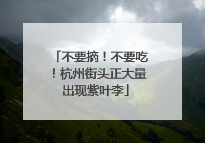 不要摘！不要吃！杭州街头正大量出现紫叶李