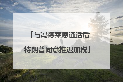 与冯德莱恩通话后 特朗普同意推迟加税