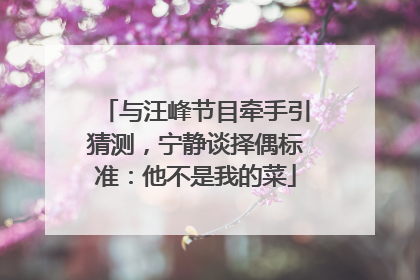 与汪峰节目牵手引猜测，宁静谈择偶标准：他不是我的菜