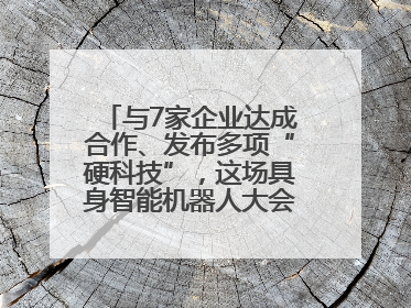 与7家企业达成合作、发布多项“硬科技”，这场具身智能机器人大会蓉城启幕