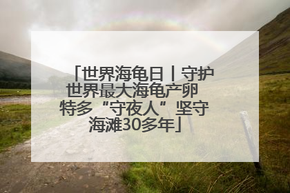 世界海龟日丨守护世界最大海龟产卵 特多“守夜人”坚守海滩30多年