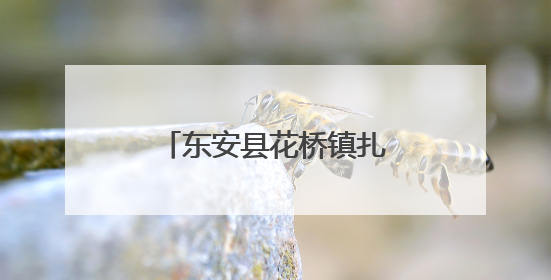 东安县花桥镇扎实开展2025年度低保年审工作
