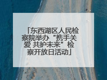 东西湖区人民检察院举办“携手关爱 共护未来”检察开放日活动