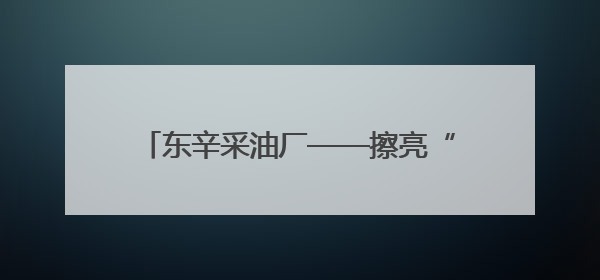 东辛采油厂——擦亮“城中家园”绿色名片