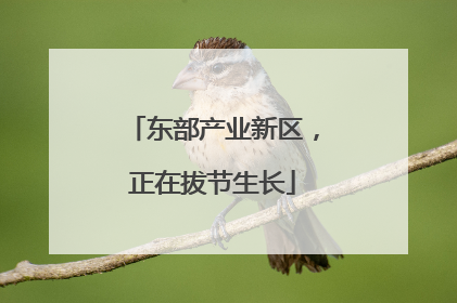 东部产业新区，正在拔节生长
