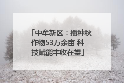中牟新区：播种秋作物53万余亩 科技赋能丰收在望