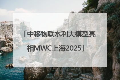 中移物联水利大模型亮相MWC上海2025
