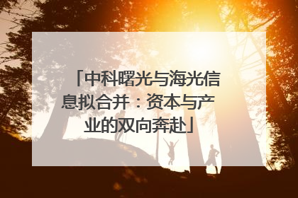 中科曙光与海光信息拟合并：资本与产业的双向奔赴
